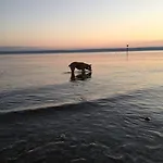Strandhaus 하그나우